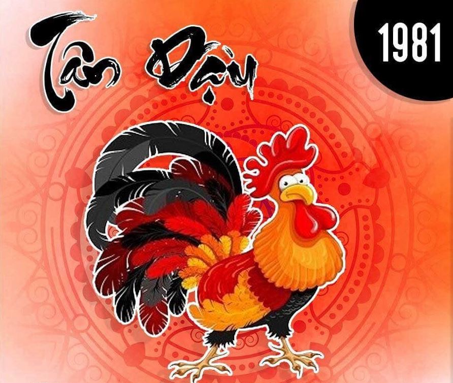 Tử vi người sinh năm 1981: Mệnh gì? Hợp màu gì? Đeo đồng hồ nào may mắn?