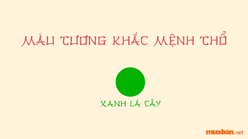 Sinh năm 1976 mệnh gì? Bính Thìn hợp màu gì, tuổi nào, hướng nào?