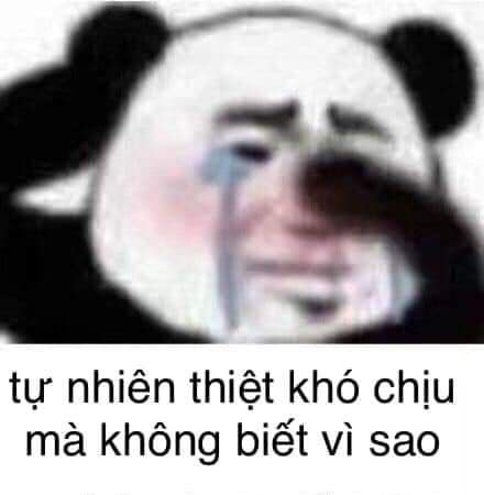 Đồng hành cùng bộ sưu tập meme gấu trúc Weibo hài bá đạo