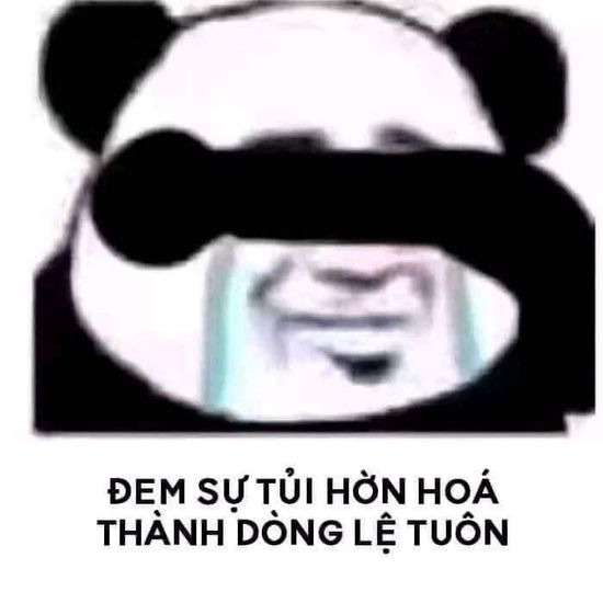 Đồng hành cùng bộ sưu tập meme gấu trúc Weibo hài bá đạo