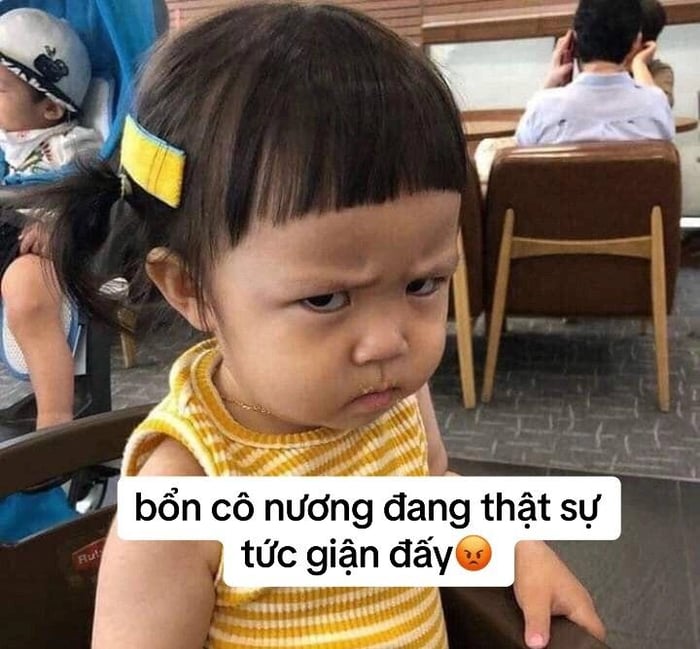 Khám phá thế giới hài hước với bộ sưu tập meme tức giận đặc sắc