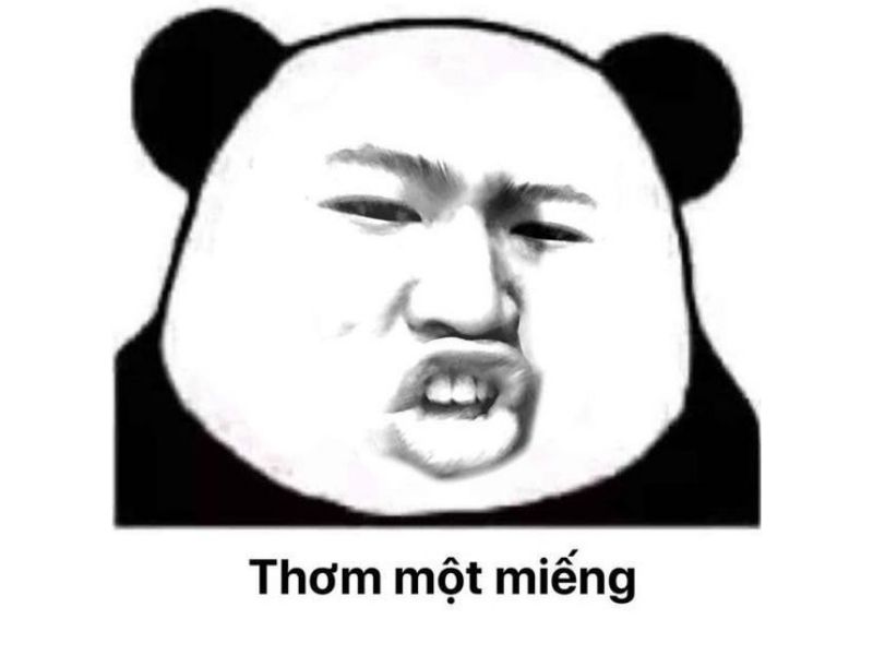 Tổng hợp 100 meme gấu trúc hài hước, hóm hỉnh và cực kỳ bá đạo