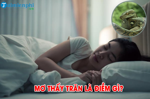 Điềm báo gì khi nằm mơ thấy trăn? Có nên đánh con số chơi xổ số gì?