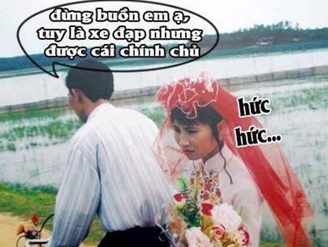 Những hình ảnh hài hước khiến bạn vỡ bụng