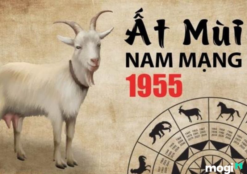 Sinh Năm 1955 Mệnh Gì? Luận Đoán Vận Mệnh Cuộc Đời Của Ất Mùi 1955