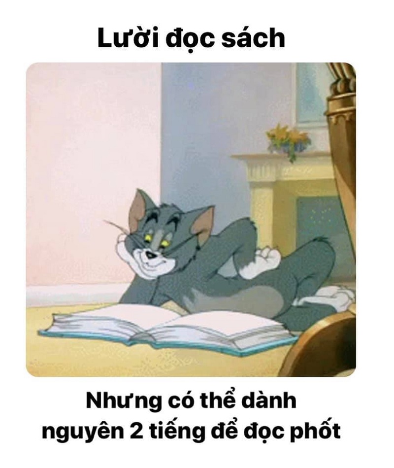 Tổng hợp bộ tom and jerry meme cực hài hước dễ thương