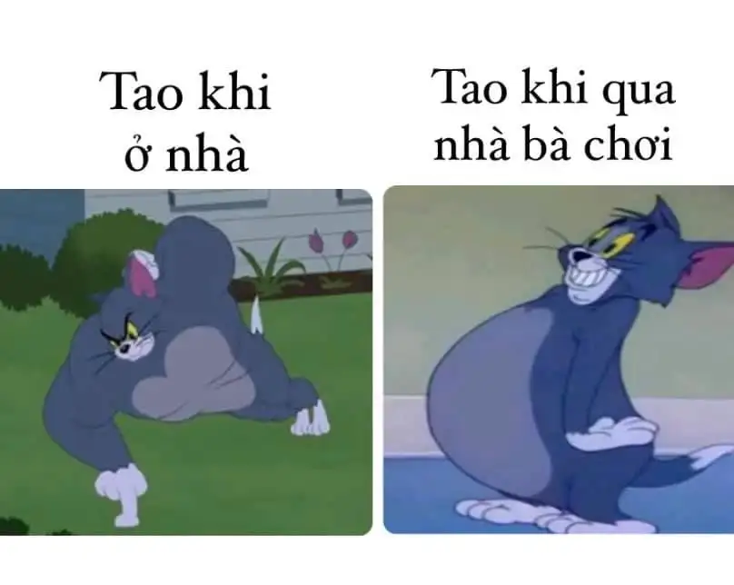 Tổng hợp bộ tom and jerry meme cực hài hước dễ thương