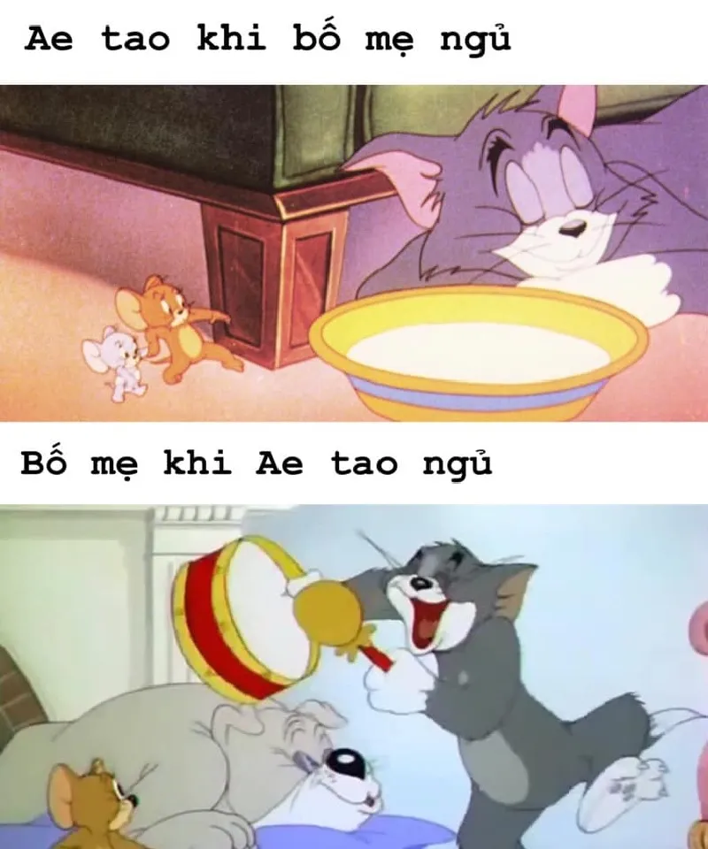 Tổng hợp bộ tom and jerry meme cực hài hước dễ thương