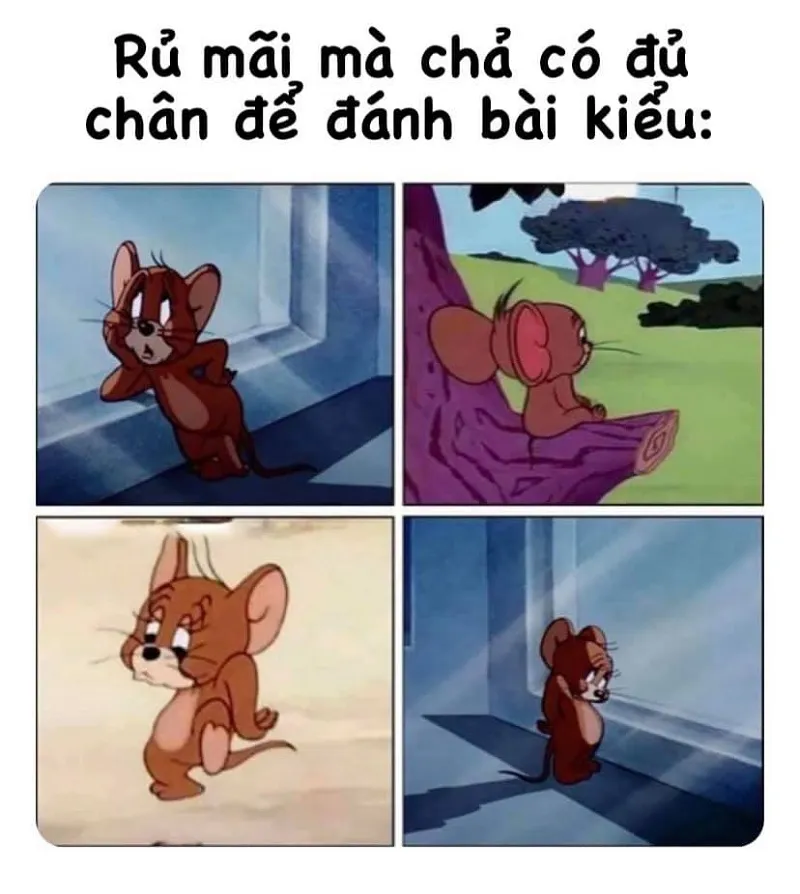 Tổng hợp bộ tom and jerry meme cực hài hước dễ thương