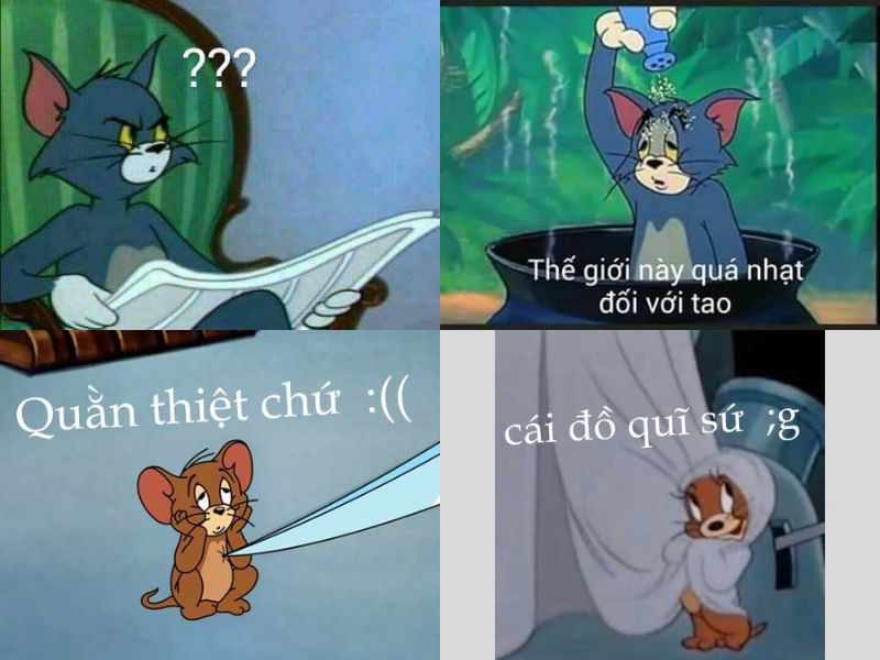 Tổng hợp bộ tom and jerry meme cực hài hước dễ thương