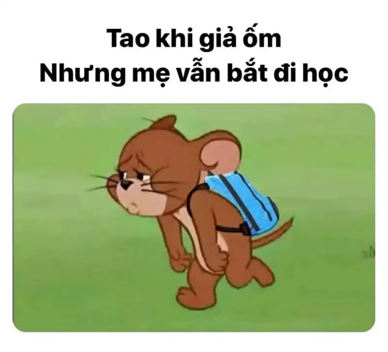 Tổng hợp bộ tom and jerry meme cực hài hước dễ thương